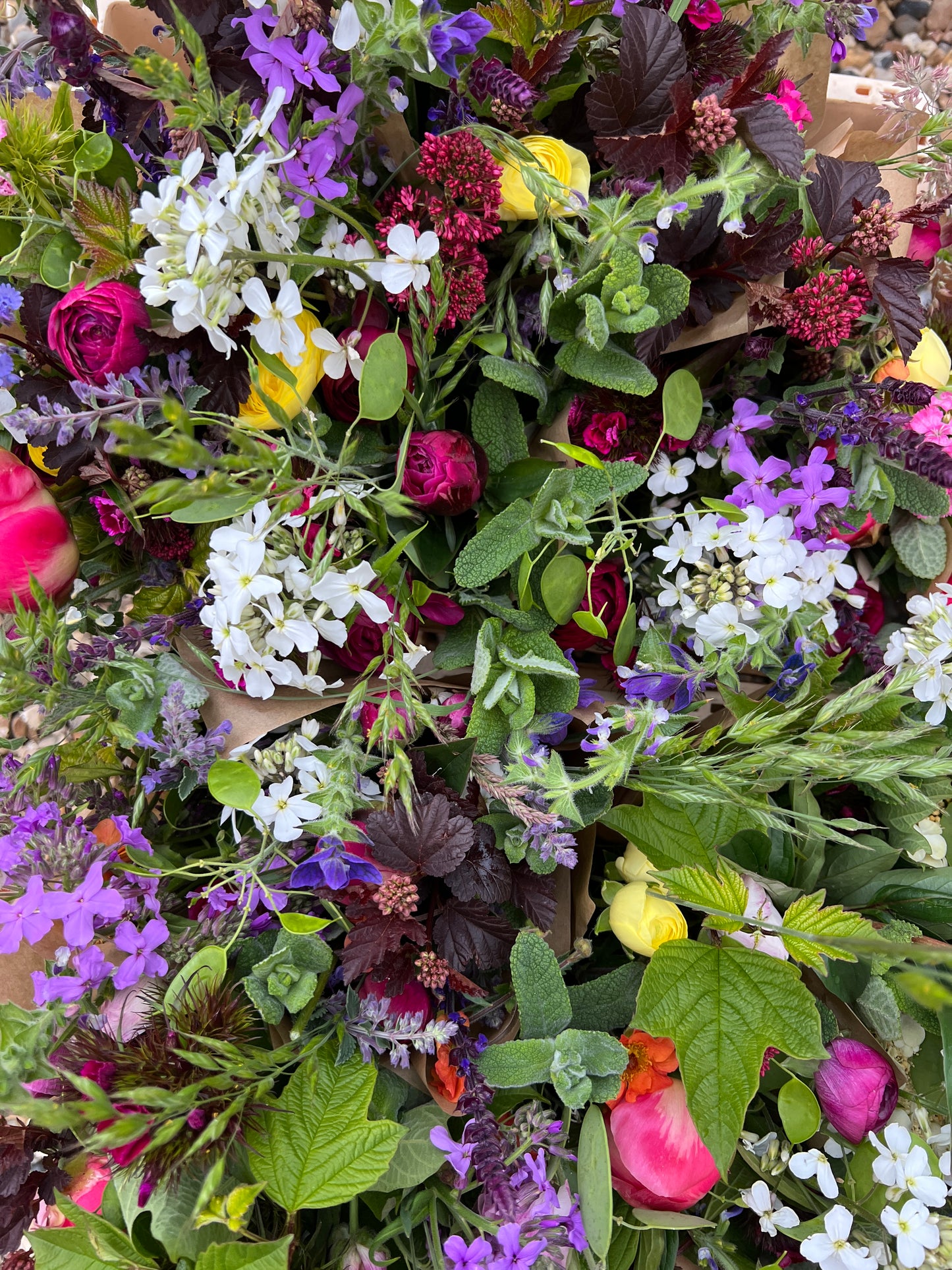 Subscription flowers (mail order) - fortnightly or monthly