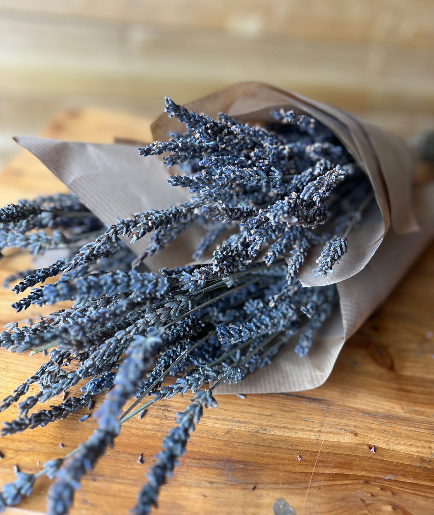 Dried lavender