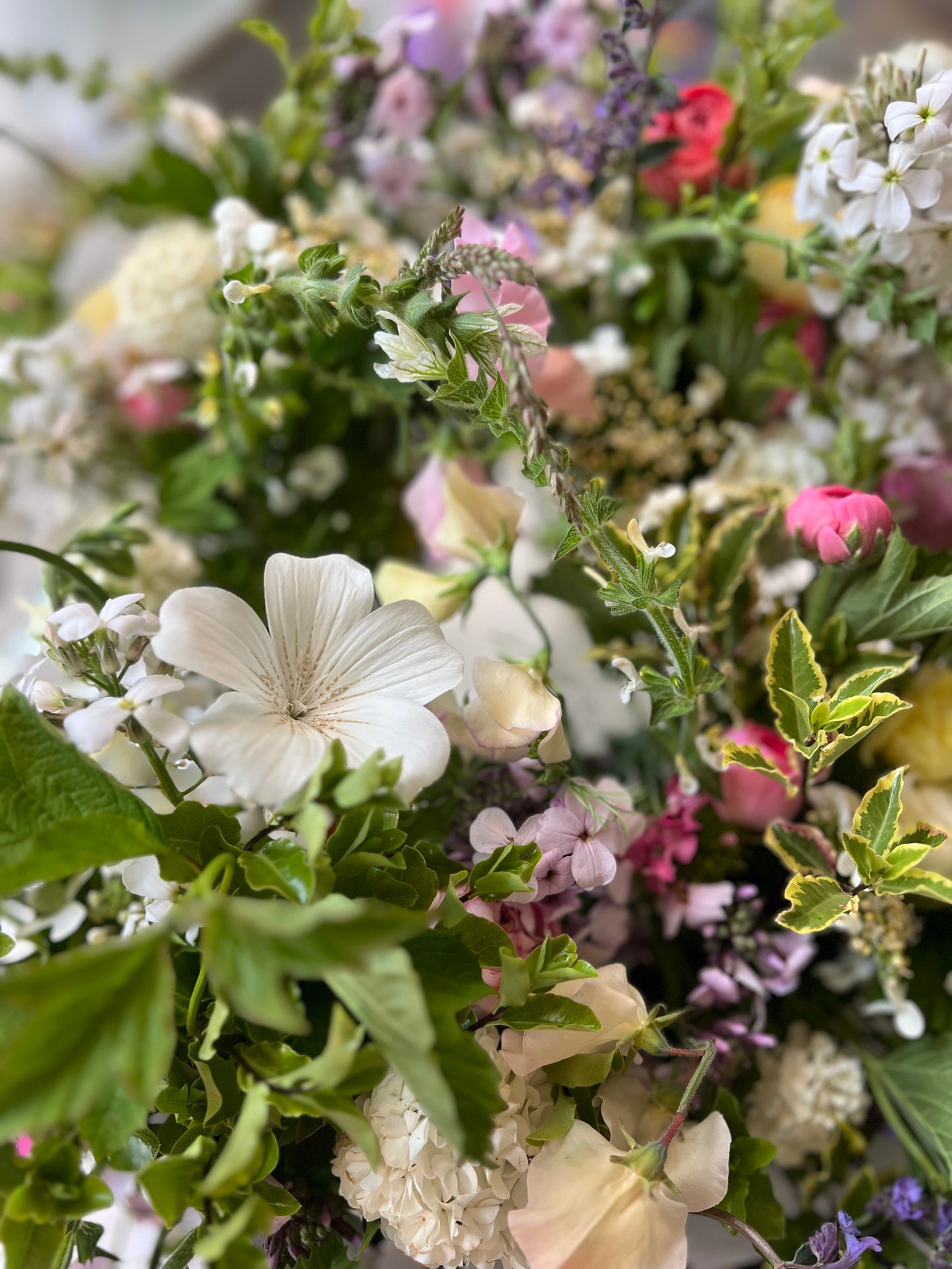 Subscription flowers (mail order) - fortnightly or monthly