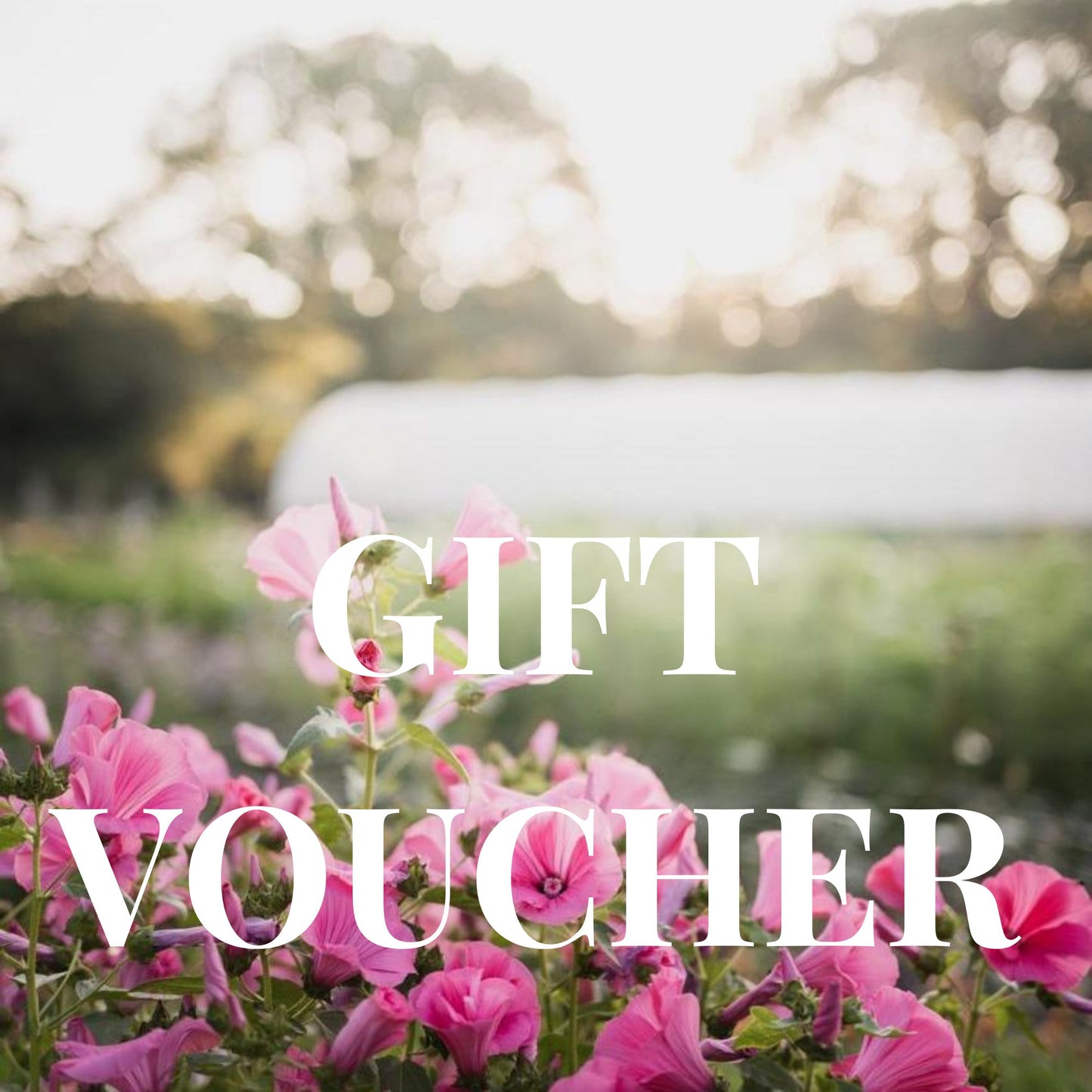 Gift Voucher