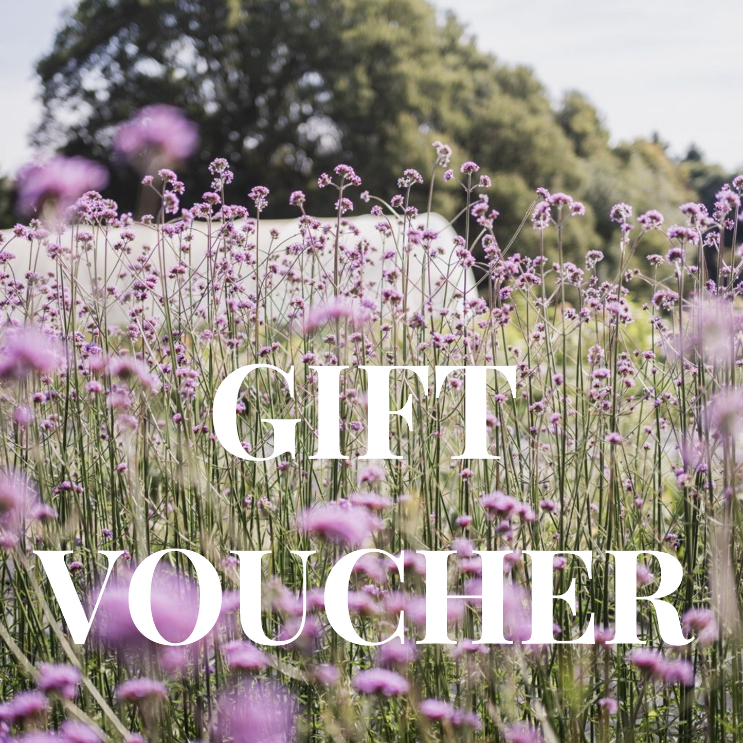 Gift Voucher - Flowers, Tea & Cake for Two