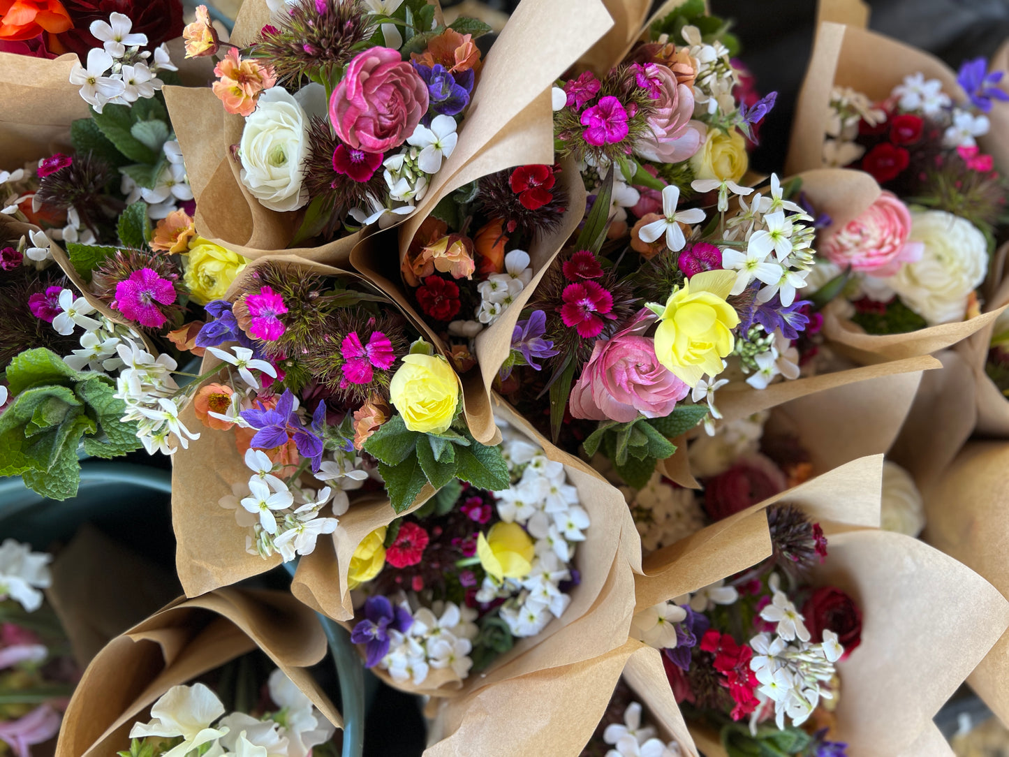 Subscription flowers (mail order) - fortnightly or monthly