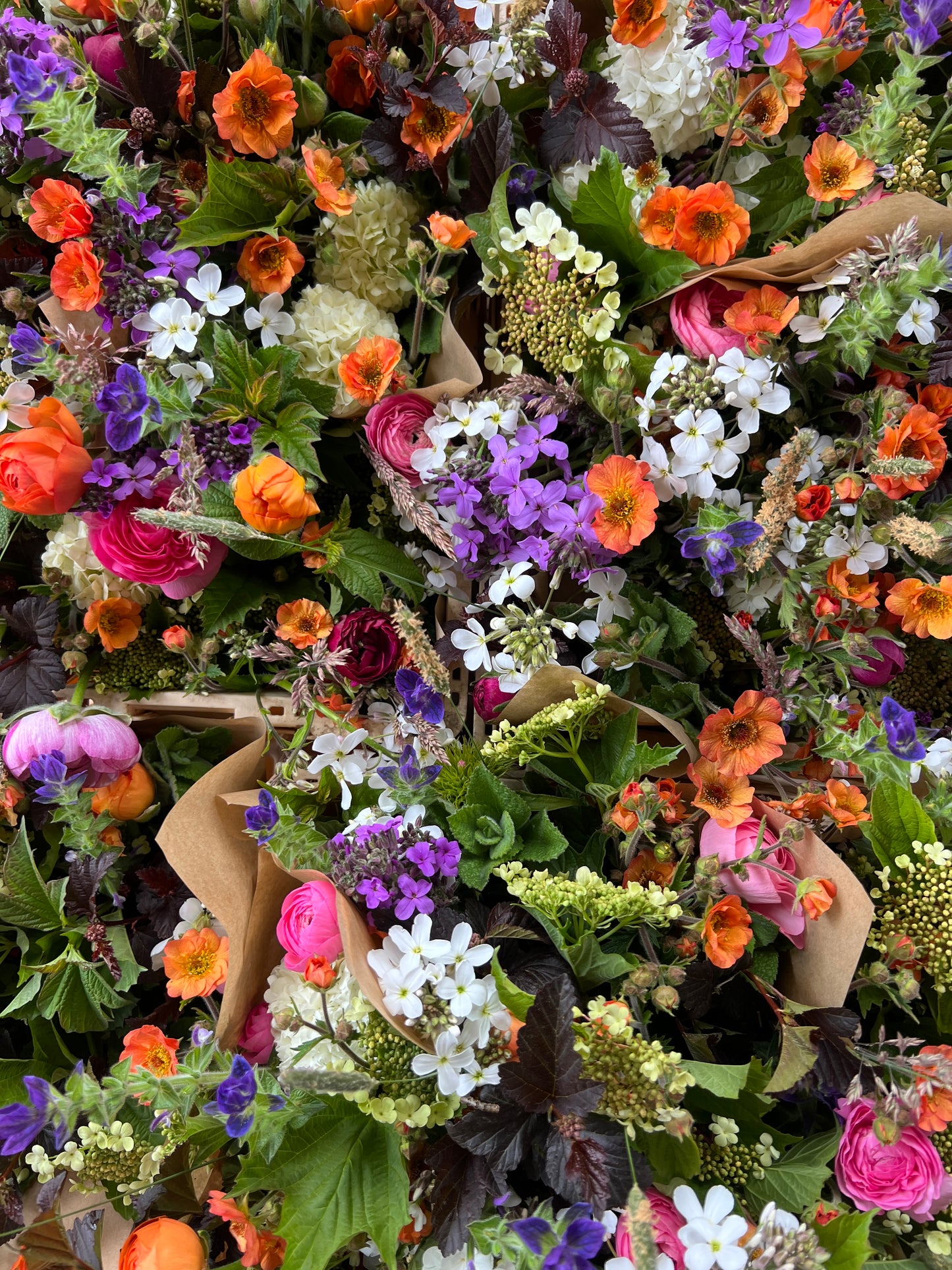 Subscription flowers (mail order) - fortnightly or monthly