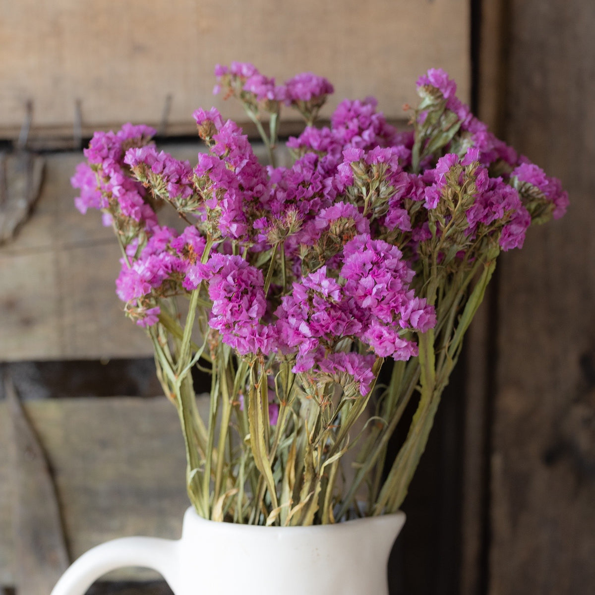 Dried statice - pink