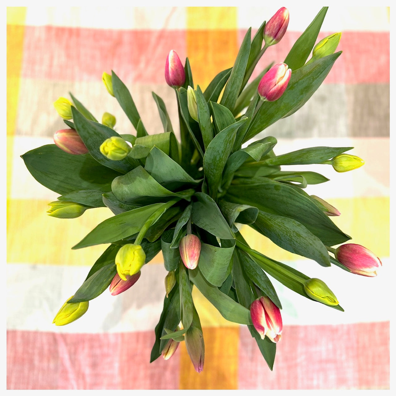 Flower shed bunches