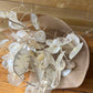 Dried honesty