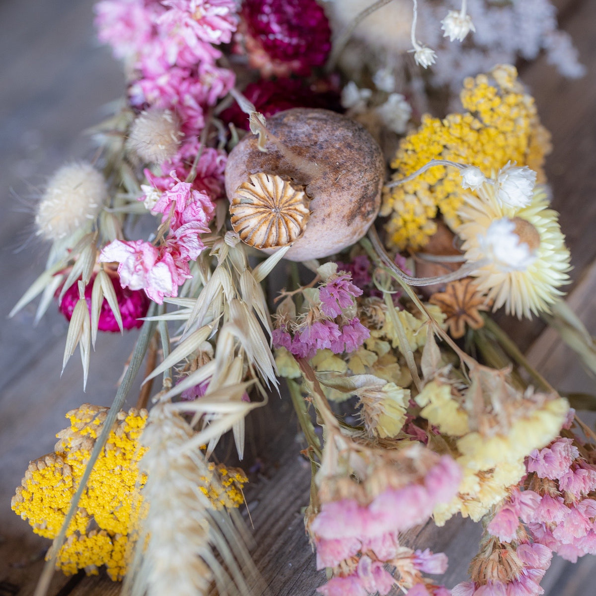 Everlasting Flower Bunch - colourful