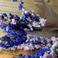 Dried mixed larkspur