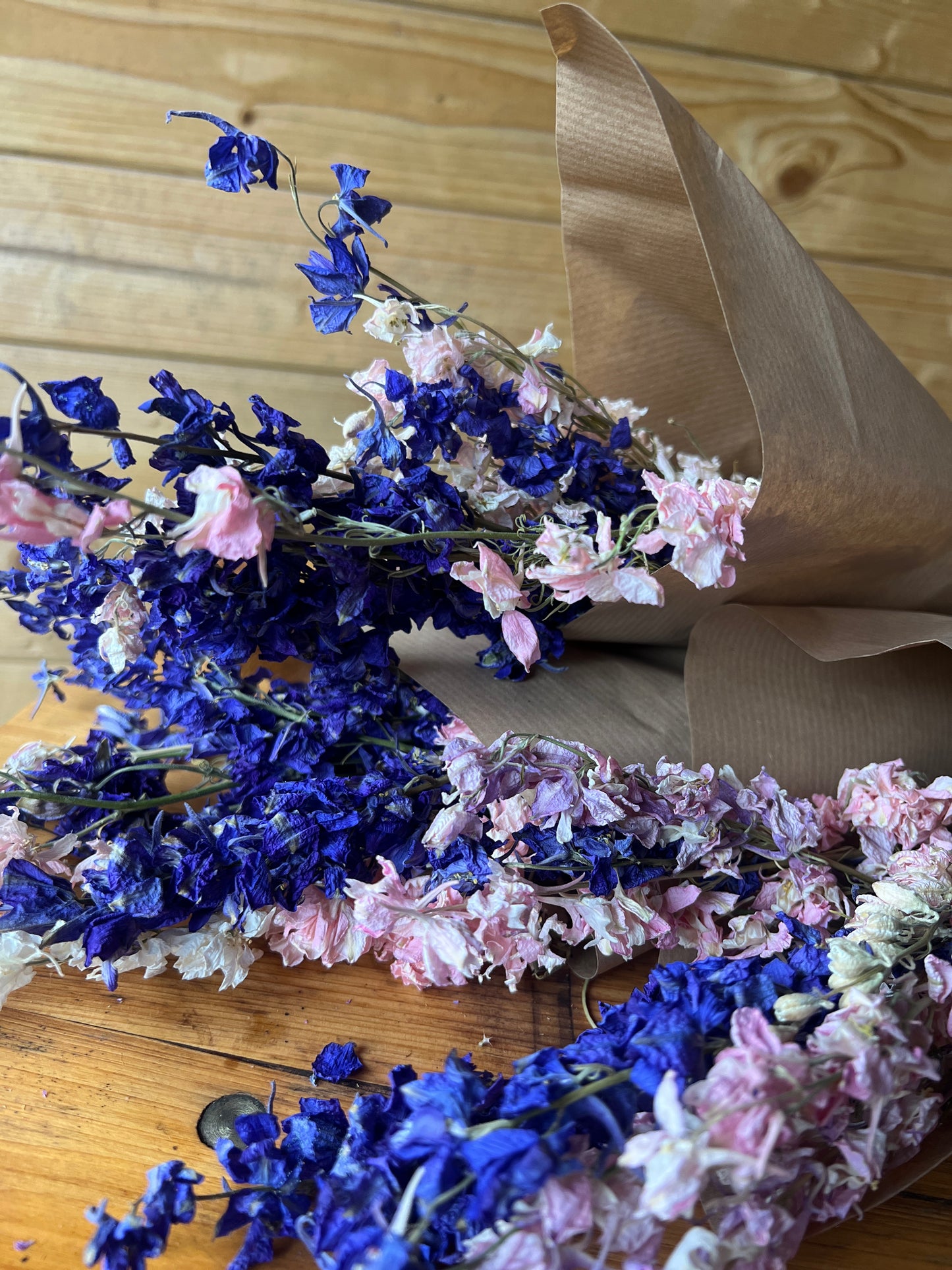 Dried mixed larkspur