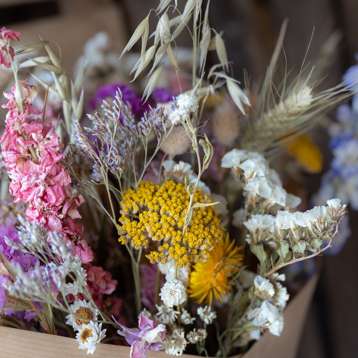 Everlasting Flower Gift bouquet - colourful