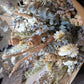 Everlasting Flower Gift bouquet - neutrals