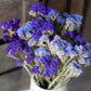 Dried statice - purple & blue