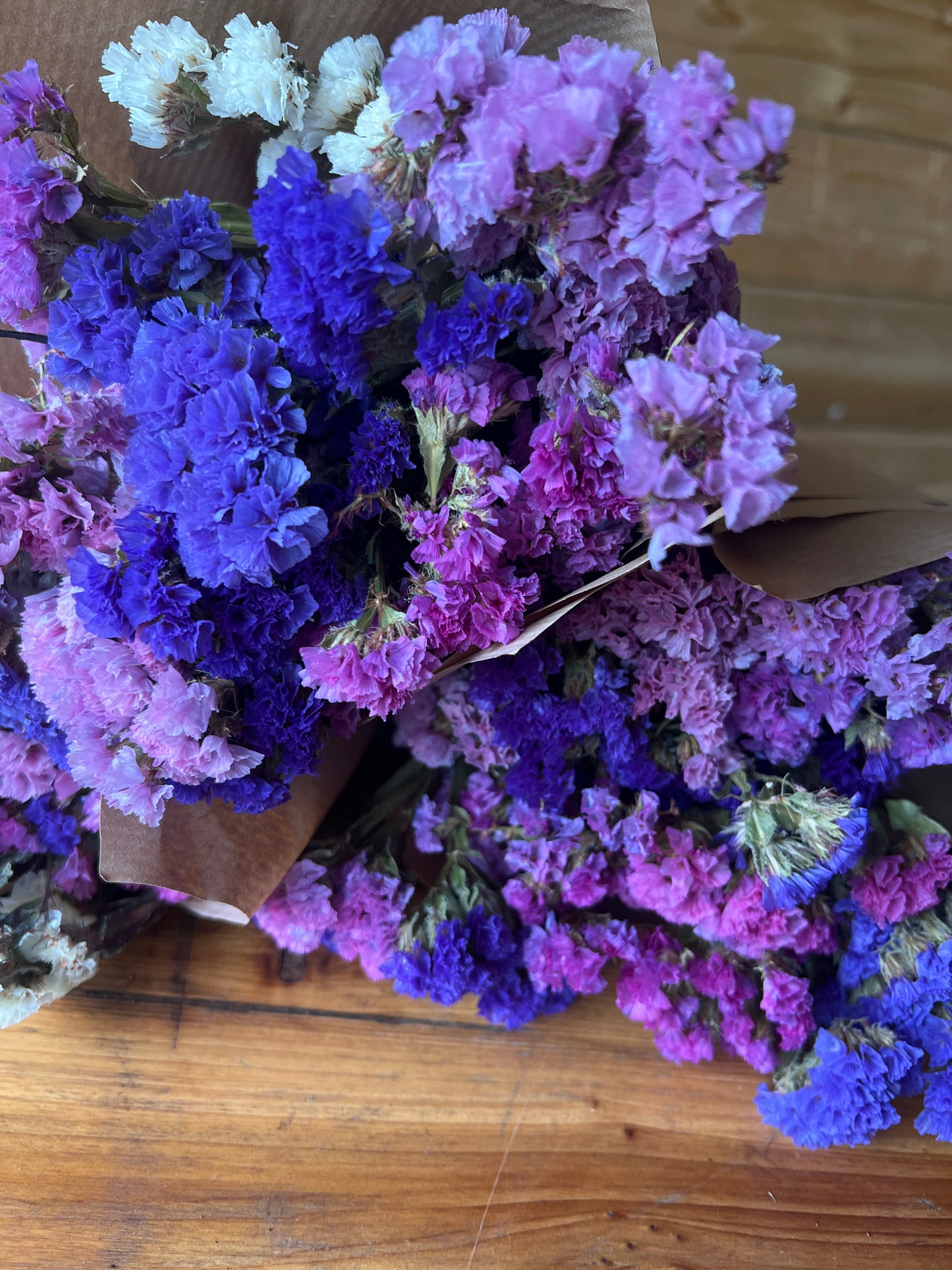 Dried mixed statice bunch