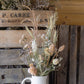 Everlasting Flower Bunch - neutrals