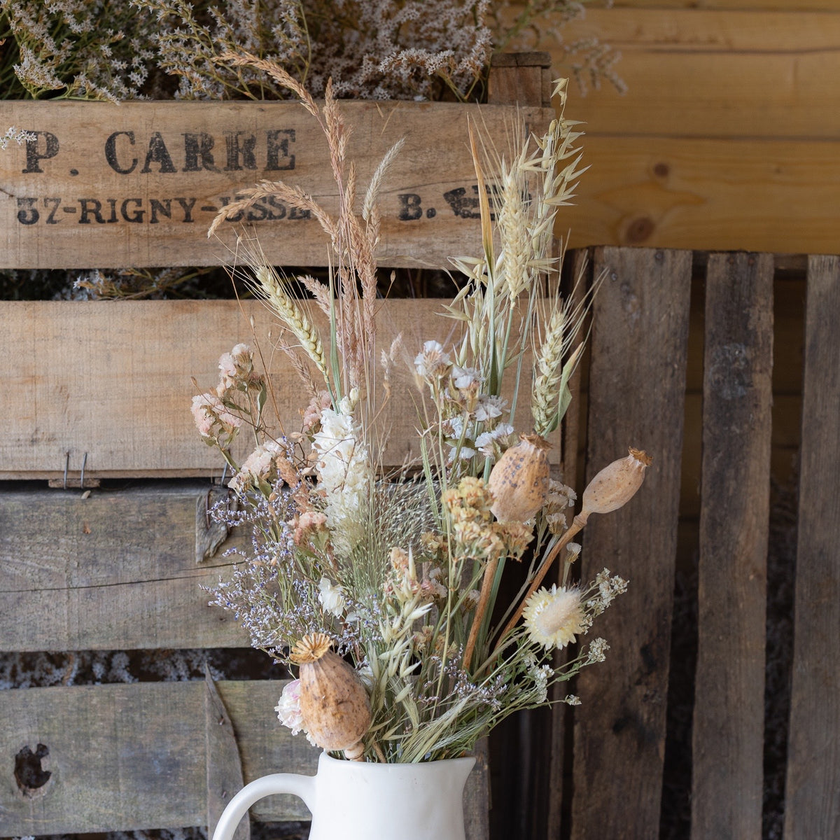 Everlasting Flower Bunch - neutrals