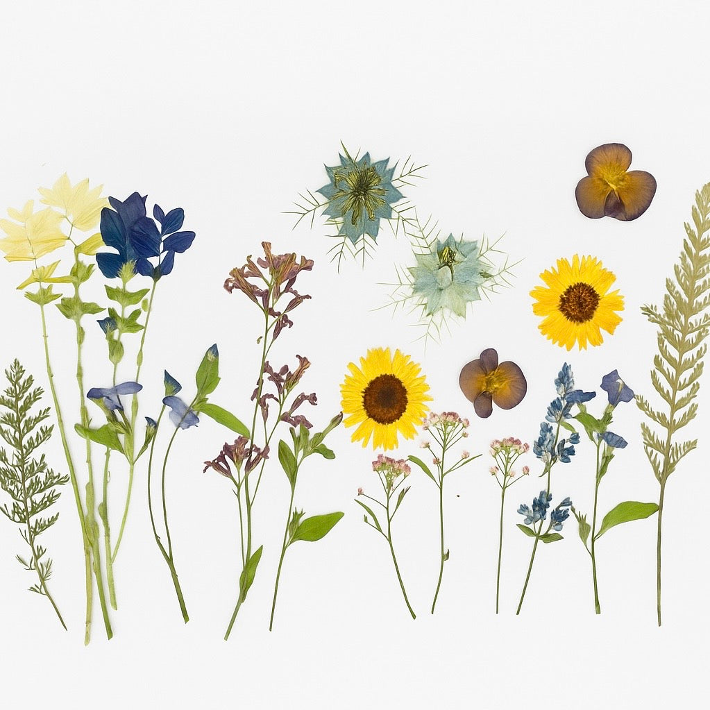 Pressed mixed collection