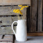 Dried achillea - cloth of gold