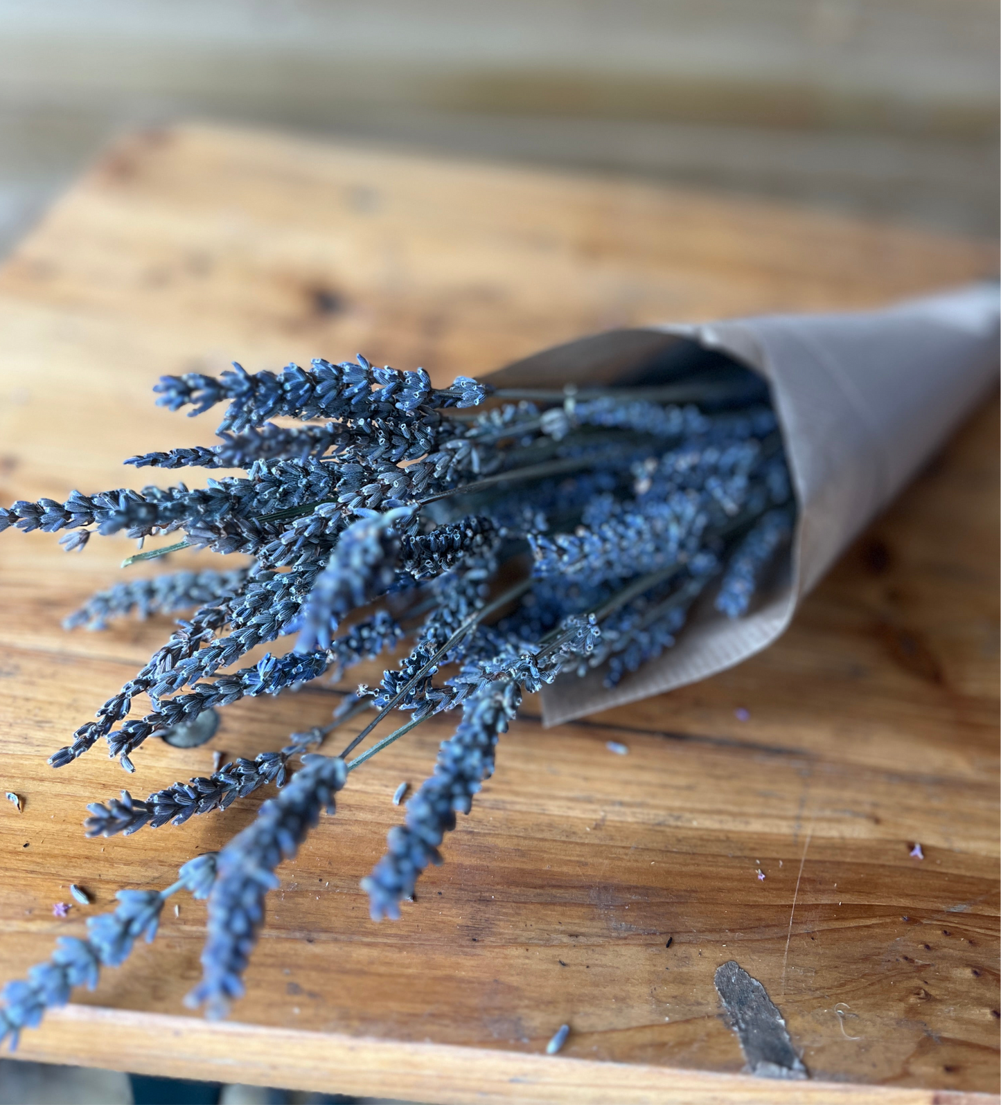 Dried lavender