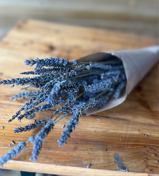 Dried lavender