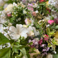 Subscription flowers (mail order) - fortnightly or monthly