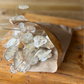 Dried honesty