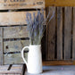 Dried lavender