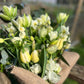 Gift bouquet - mail order or collection