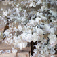 Dried eucalyptus