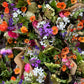 Subscription flowers (mail order) - fortnightly or monthly