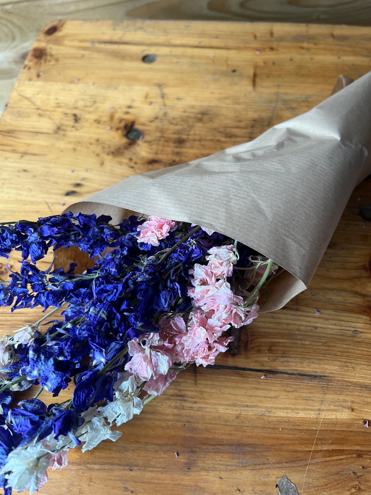 Dried mixed larkspur