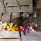Dried strawflowers