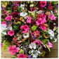E17 Flowers