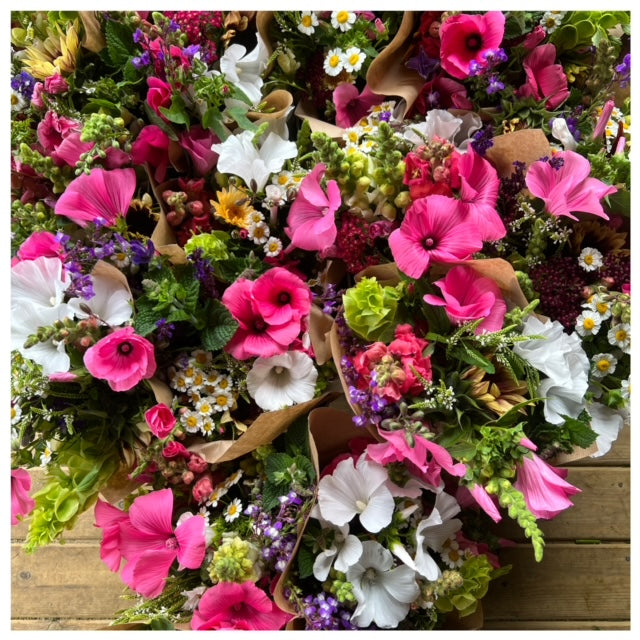 E17 Flowers