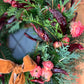 Luxury Red Hot Chilli Flower Christmas wreath - pre order