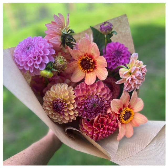Dahlias, tea and cake, Saturday 20th September