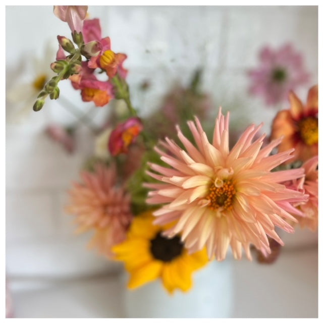 Arrange-along flowers - mail order (delivery on 20th September)