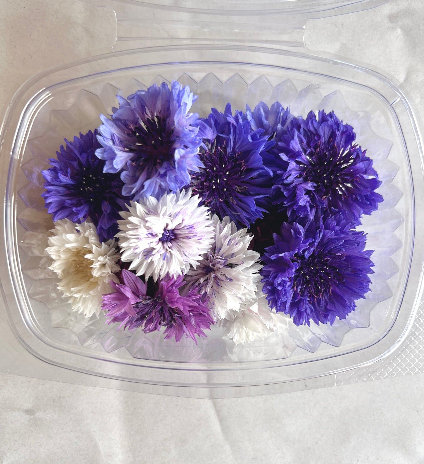Cornflowers