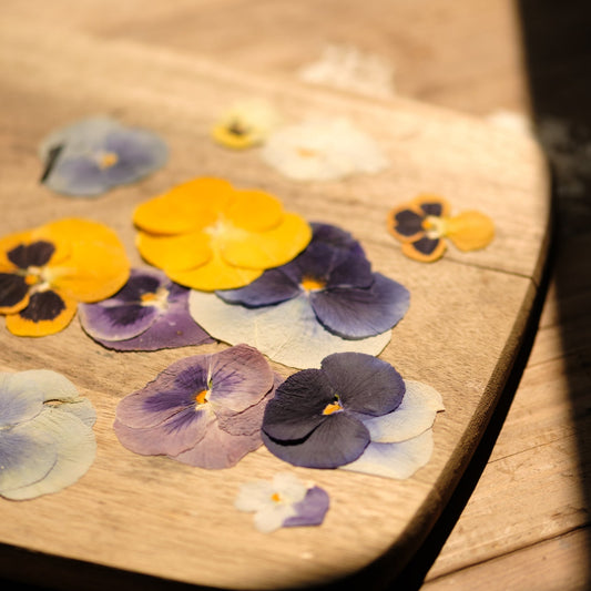 Pressed pansies