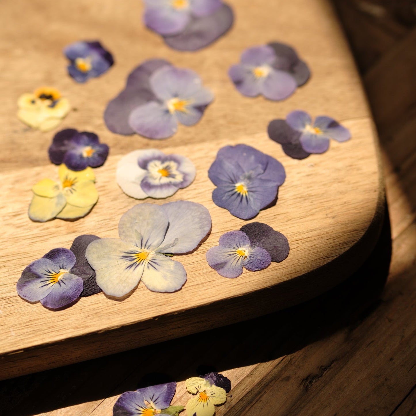 Pressed violas